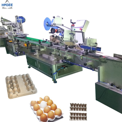 Κίνα Μηχανή μαρκαρίσματος κιβωτίων χαρτοκιβωτίων δίσκων αυγών με τα πλαστικά κιβώτια αυγών, επίπεδη μηχανή μαρκαρίσματος με το κιβώτιο άμμου αυγών κιβωτίων προστάτη αυγών προμηθευτής
